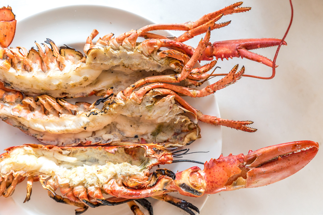 ISS_8533_10068.jpg ISS_8533_10068.jpg